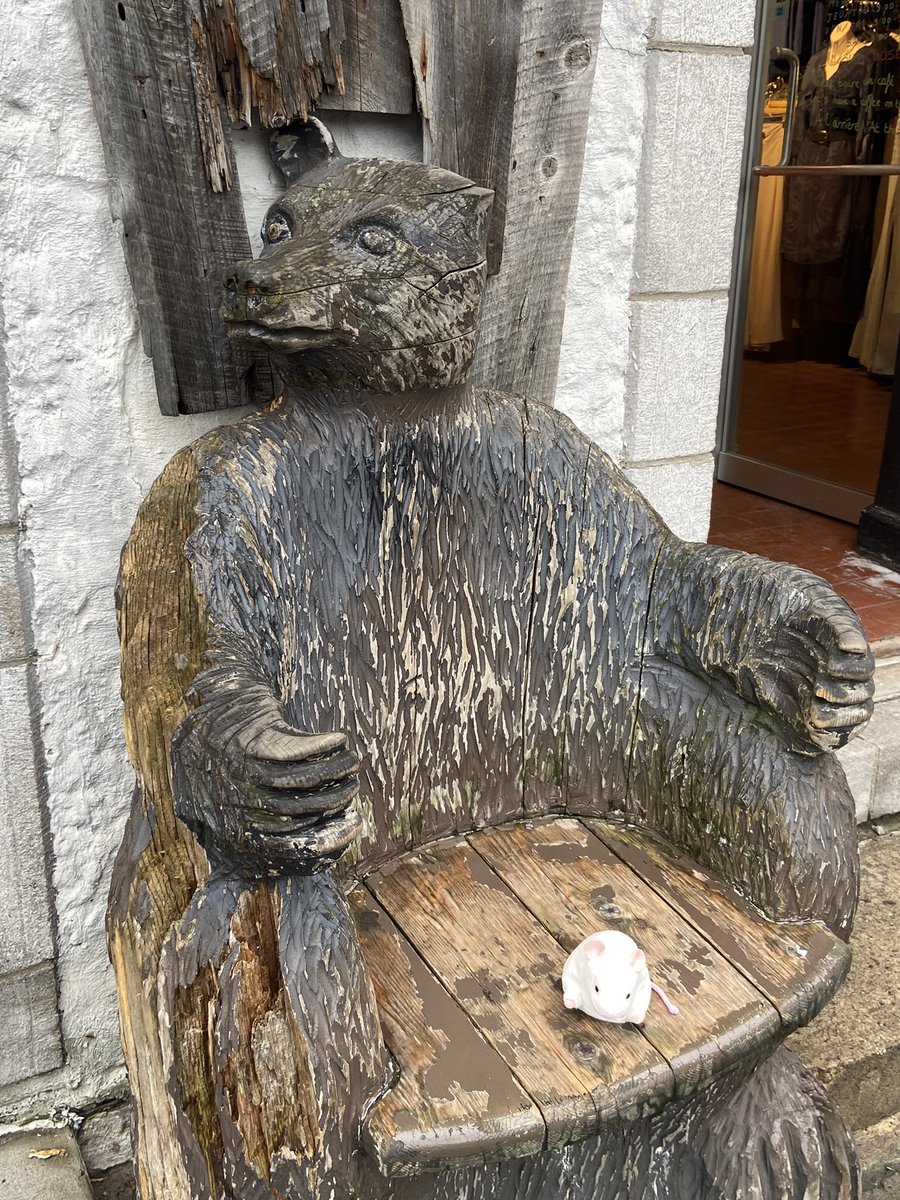 Eli__PM's tweet photo. We walked around old Quebec and visited the Musée de la Civilisation. https://t.co/IBcwyNQvOt