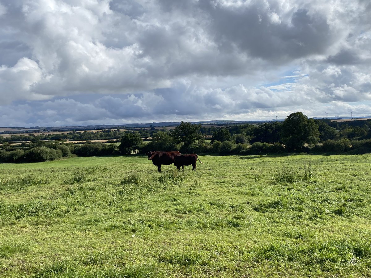 Ed Trotter (@ed_trotter1) on Twitter photo Interesting trip with the <a href="/EdaphosAgronomy/">Edaphos Agronomy</a> team to see <a href="/wildfarmed/">Wildfarmed</a> for a tour. Food for thought and some fascinating concepts Interesting trip with the <a href="/EdaphosAgronomy/">Edaphos Agronomy</a> team to see <a href="/wildfarmed/">Wildfarmed</a> for a tour. Food for thought and some fascinating concepts