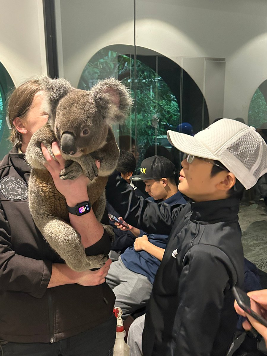 adachigakuen_jh's tweet photo. オーストラリアスタディーツアー#13
Windaroo組も本日ローンパイン動物園を訪れて、コアラ、カンガルー、ワラビー、ウォンバットなど、オーストラリア特有の動物達と触れ合いました!
#Windaroo Valley State High School
#オーストラリアスタディーツアー
#足立学
#東京私立男子校 https://t.co/qN3Y4hCtED