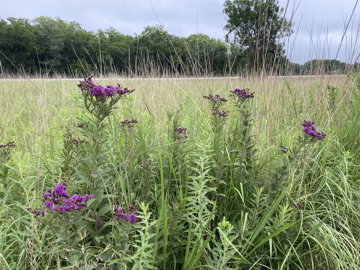 Had an incredible time this week learning about all of the great research, extension, and educational work happening across Nebraska through IANR!

<a href="/PhrecIrrigation/">Xin Qiao</a> <a href="/UNLExtPanhandle/">UNL Ext-Panhandle</a> <a href="/UNL_IANR/">Institute of Agriculture and Natural Resources</a> <a href="/UNLincoln/">University of Nebraska-Lincoln</a>
#IANRontheRoad #RoadsScholarAlumni <a href="/RodneyDBennett/">Rodney D. Bennett</a>