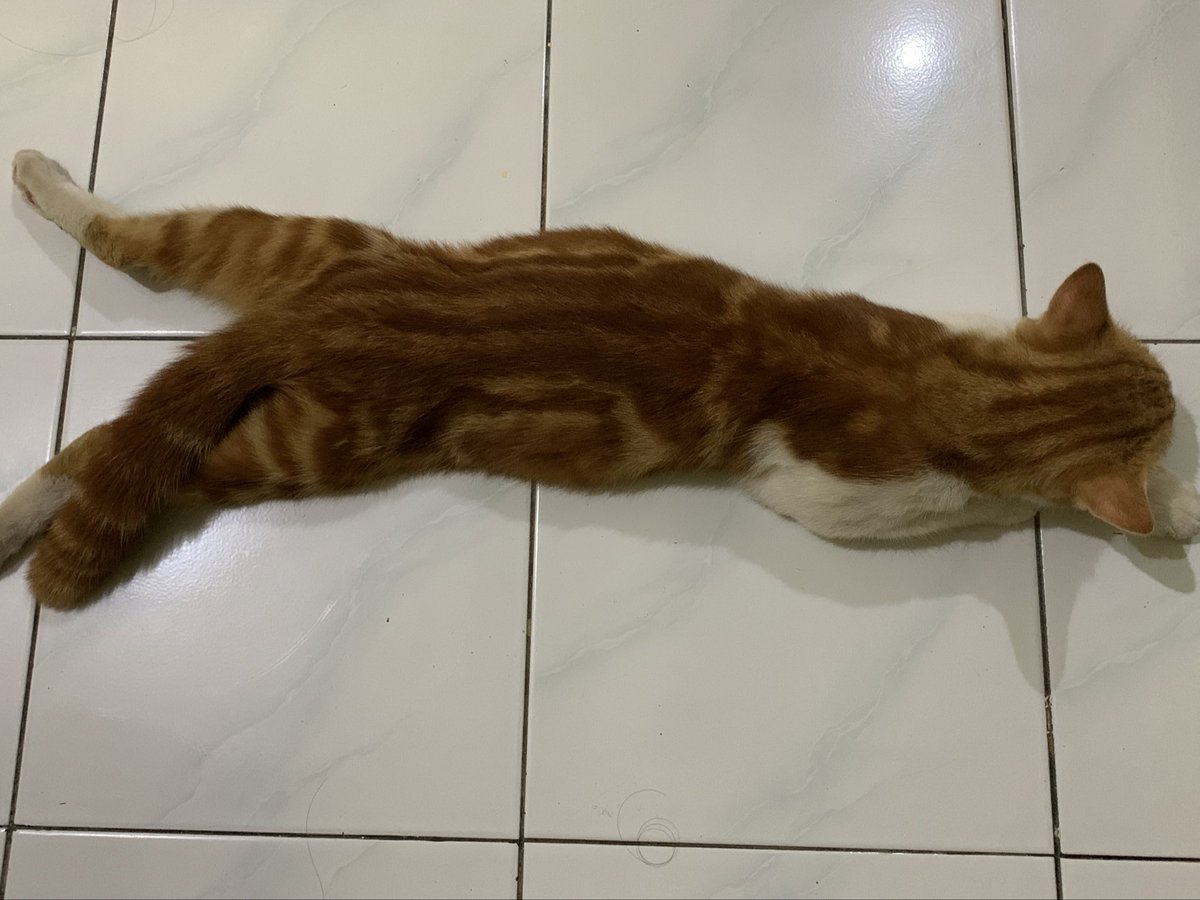 afhasnaaaa's tweet photo. @kochengfs Ya beginilah majikan, suka seenaknya https://t.co/Cz261Ota2F
