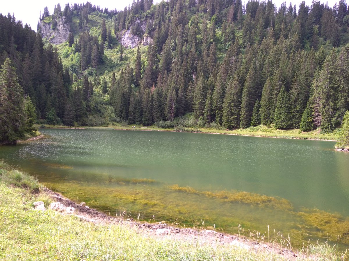 bernierpatrici2's tweet photo. Retour au Lac de la Mouille à #superchatel avant retour et de la pluie prévue cet après-midi. #chatel https://t.co/3Uvgmr9eda