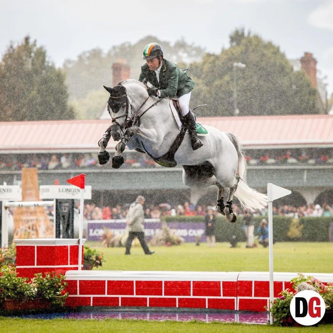 A lovely piece in @DublinGazette about how we will be deploying our revolutionary software platform at the largest equine event in Ireland, @TheRDS Horse Show, with horses from Ireland’s Young Eventhorse Series Full story: dublingazette.com/sport/rds-hors… #DublinGazette #EquineWelfare