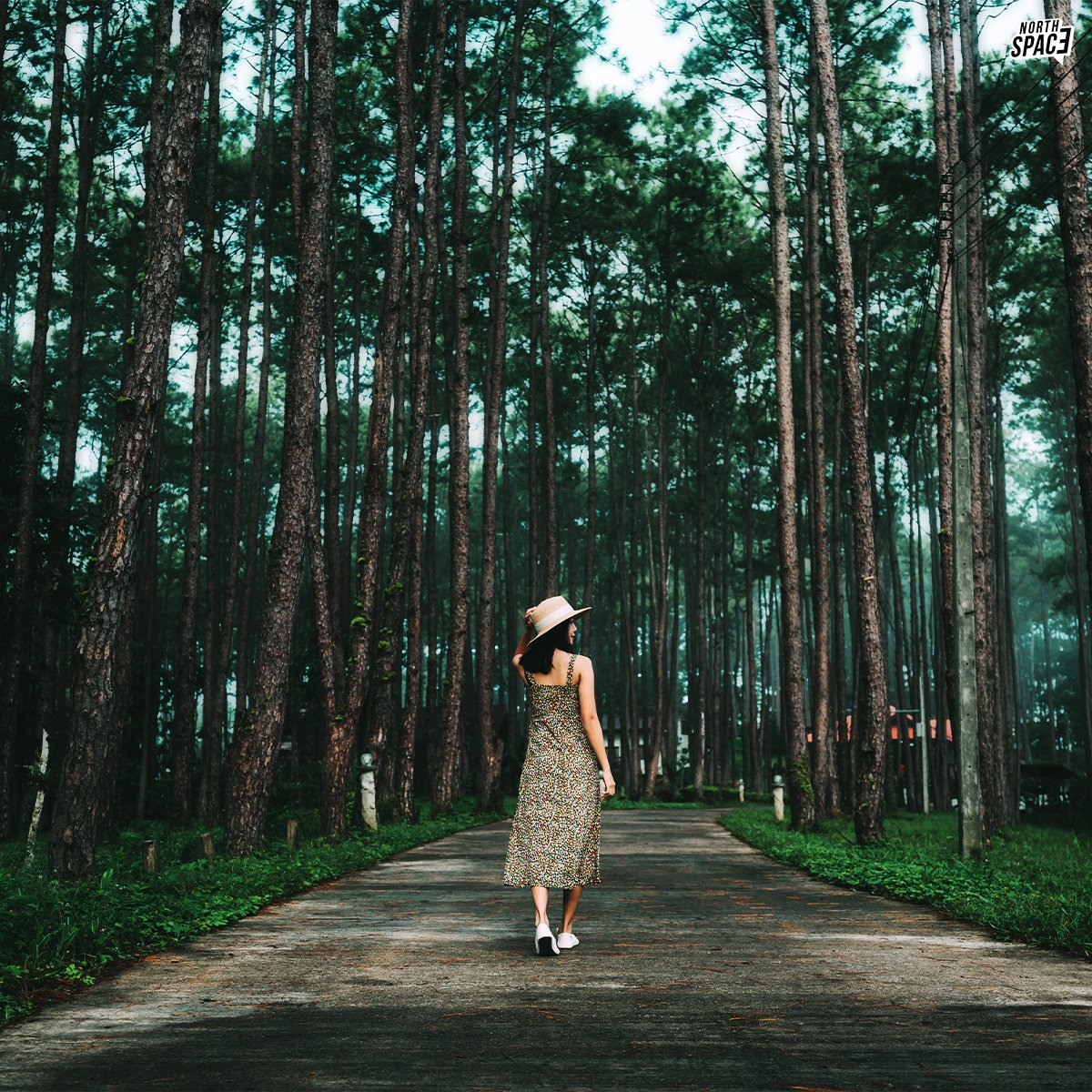 NorthSpace_Life's tweet photo. ช่วงนี้เชียงใหม่ฝนตกทุกวัน ใครแพลนที่เที่ยวอยู่มาทางนี้เลย 🌨️🌿
 ออกมาเที่ยวลุยฝนให้หัวใจได้ชุ่มฉ่ำกับ 30 ที่เที่ยวเชียงใหม่หน้าฝนอัดแน่นทั้งที่เที่ยว ที่พัก คาเฟ่ ร้านอาหาร ในการจัดทริปหน้าฝนนี้ 🤗

#ที่เที่ยวเชียงใหม่ #เที่ยวหน้าฝน #ธรรมชาติบําบัด #รีวิวเชียงใหม่ #ธรรมชาติบำบัด https://t.co/lIDRShn3eQ