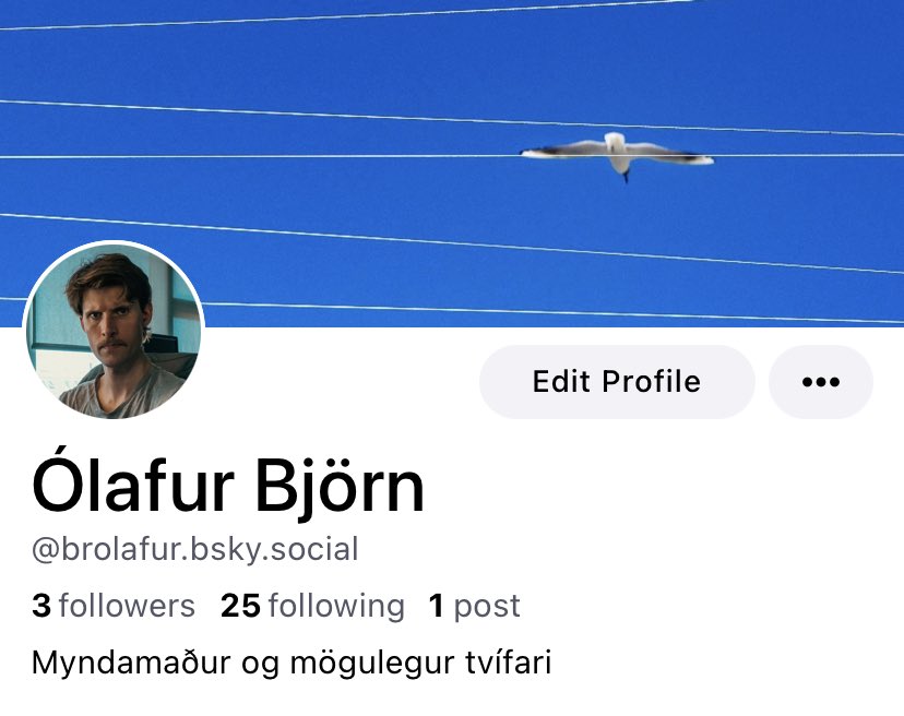 Ólafur Björn 🦝 (@brolafur) on Twitter photo 