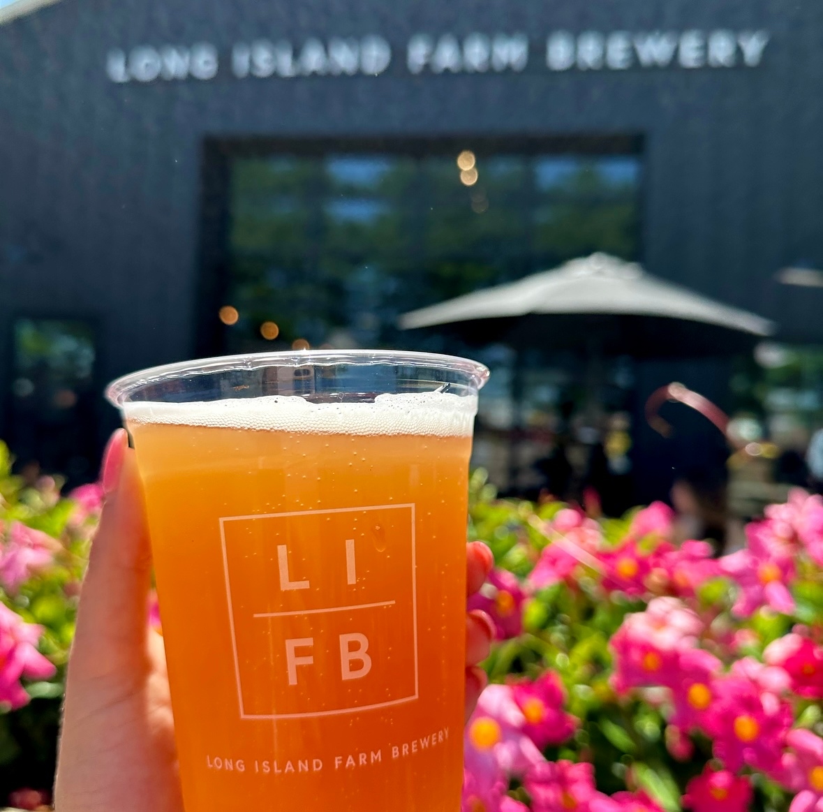 DiscoverLINY's tweet photo. What’s your favorite Long Island Brewery? #InternationalBeerDay 🍻 #discoverlongisland

📍#longislandfarmbrewery
📍#dubco
📍#sixharborsbrewingcompany
📍#montaukbrewco

#longislandbrewery #longislandbeer #libeer #librew #beerday #longislandbrew https://t.co/tRi3DNCARX