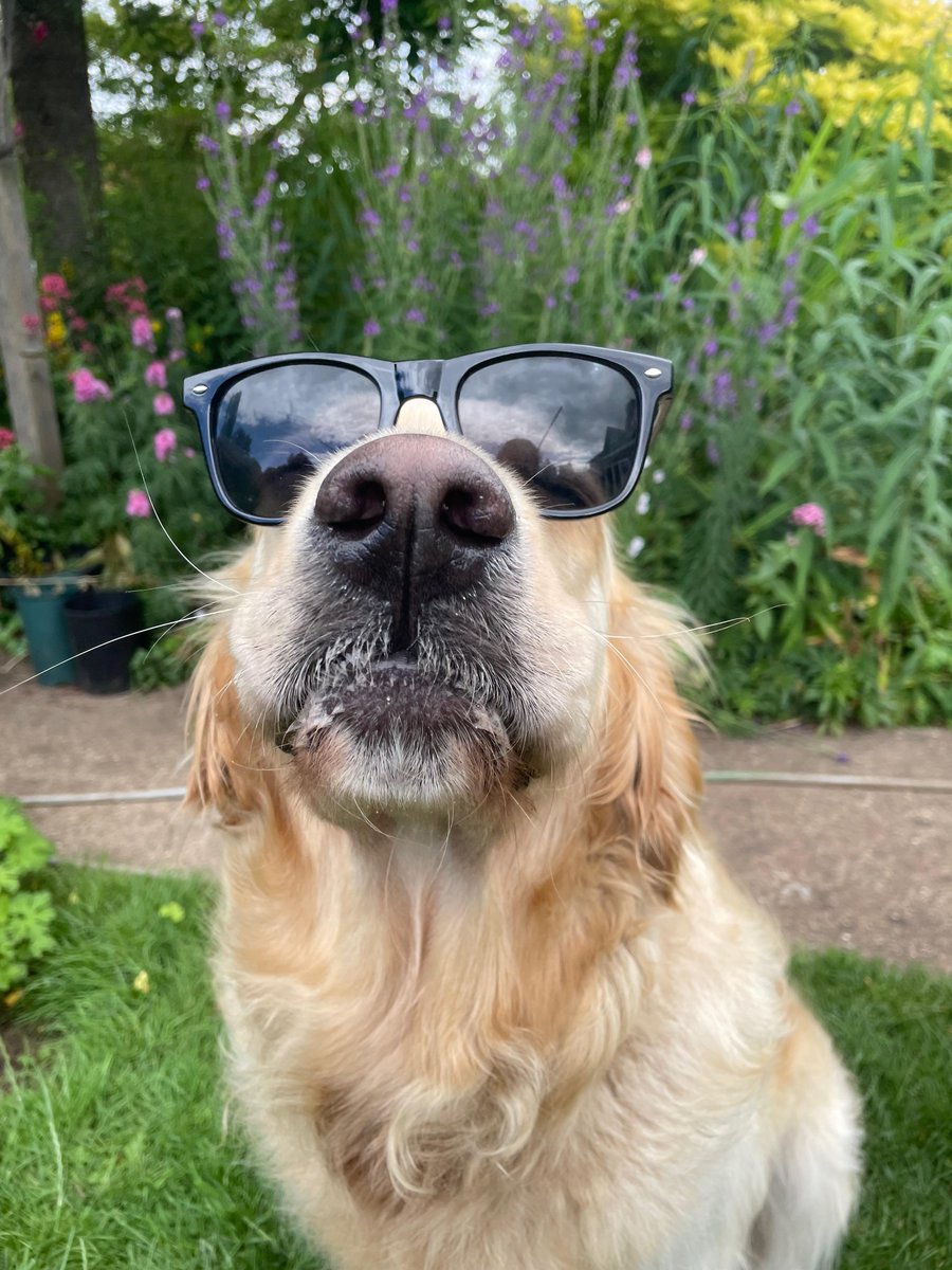 Tollring tweet media