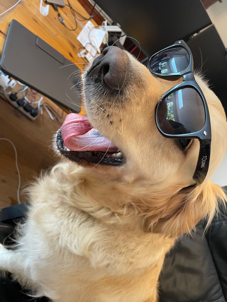 Tollring tweet media