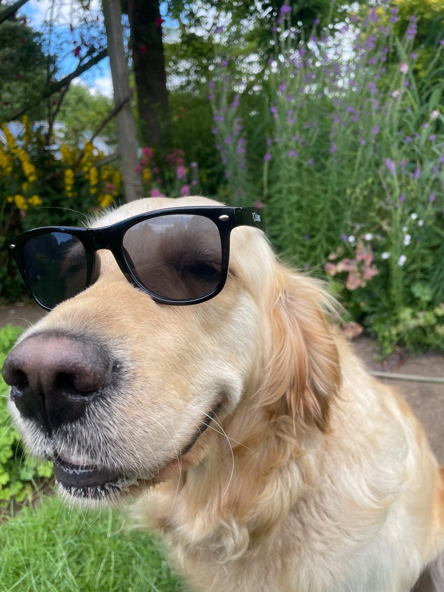 Tollring tweet media