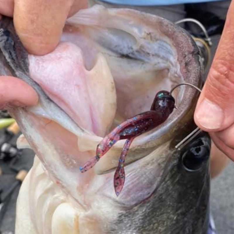 CulpritFishing's tweet photo. The Culprit Shakin Neko Craw. All new โ nothing quite like it! https://t.co/3cPsLrvmLK
#dustinwilksfishing #culprit #bassfishing #newlures #NewRelease https://t.co/SBDFxYVicZ