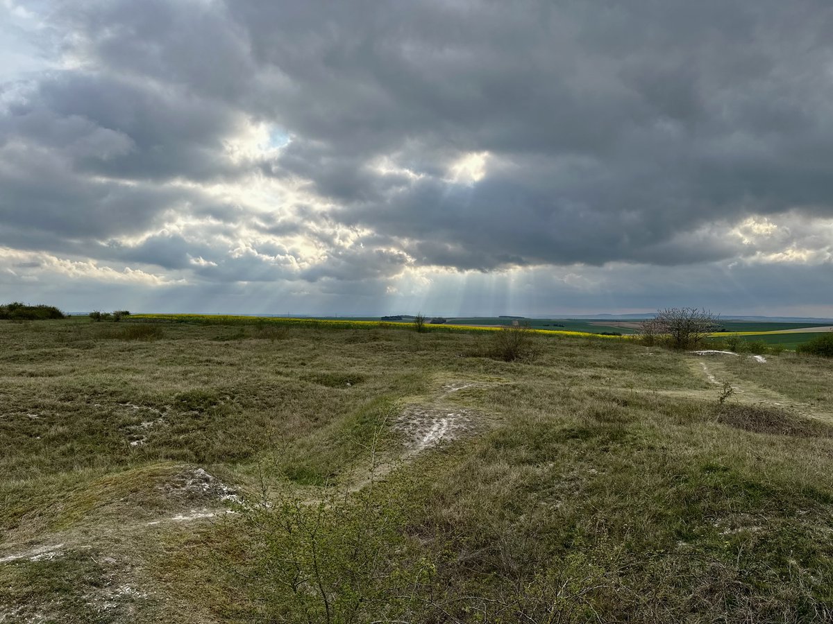 Ri315e's tweet image. #frontlinefriday
Where are we today?