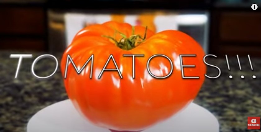 👉👉👉👉The BEST Tomato Sandwich EVER! Im Italian &amp; Its Tomato Season! Best Farmer's Market In Tampa!
👇👇👇👇👇👇👇👇👇
youtu.be/QZhZYCcuH4Q