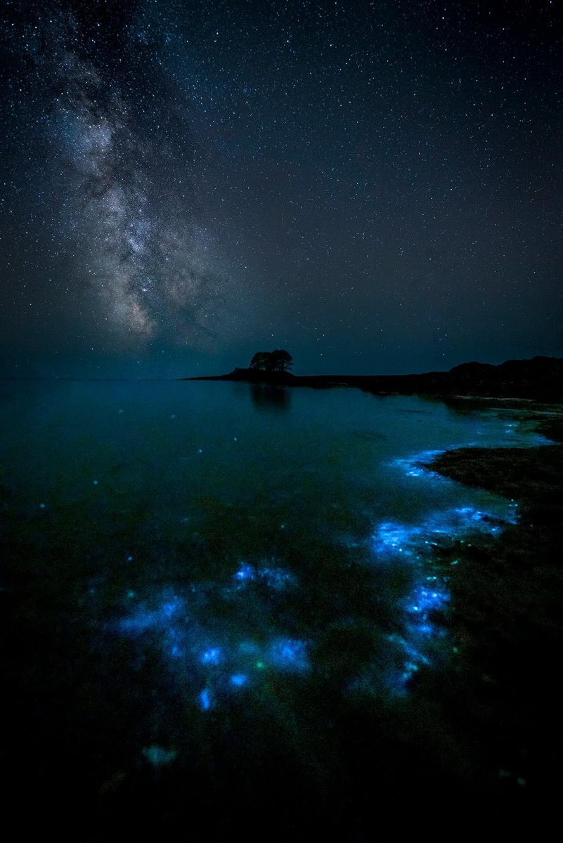 Les nuits d’été quand il fait chaud, la rade de Brest offre un magnifique spectacle de plancton bioluminescent. Comme ici à la pointe du Château à Logonna Daoulas.