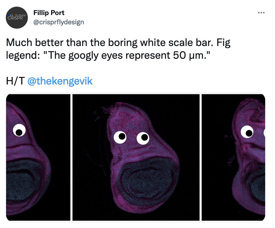 helenajambor's tweet photo. Blog3: Scales in images.
Report scales in your science pics, here is how.
And some creative ideas from @crisprflydesign and more.
PS send me cute & cool scale bars for my collection!
#scicomm #BioImages #Microscopy #dataviz #Image #ScienceTwitter
https://t.co/FwHEYzf664 https://t.co/K7YPFAA4a6