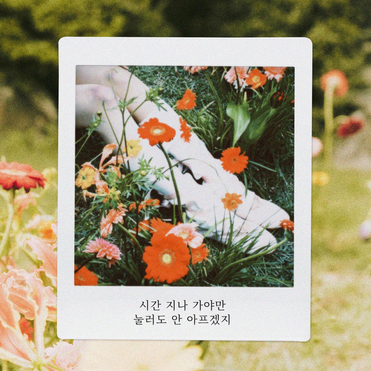 조유리 JO YURI tweet media