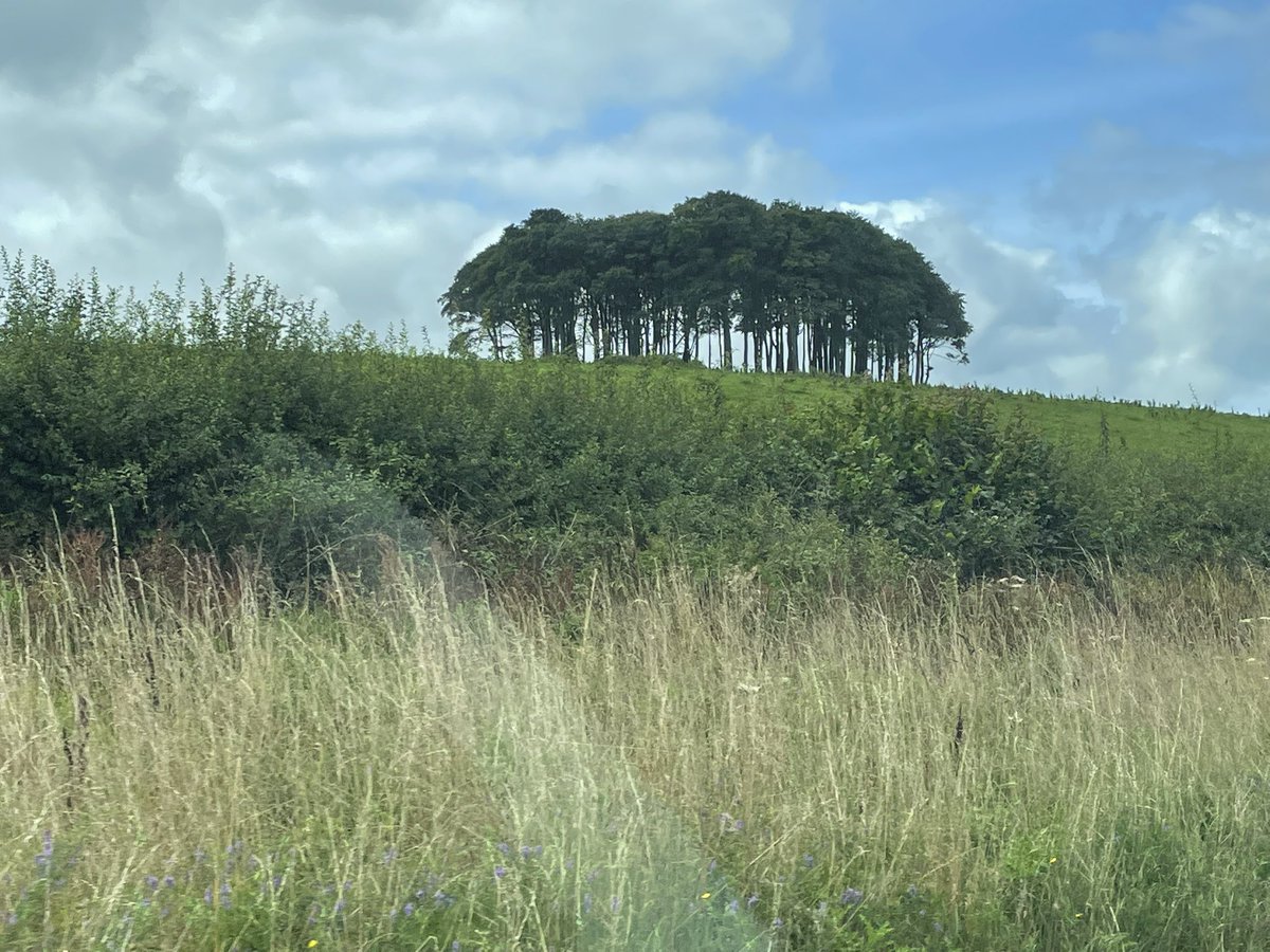 Nashlar01's tweet photo. If you know, you know #nearlytheretrees #cornwall https://t.co/k2p8y35NP3