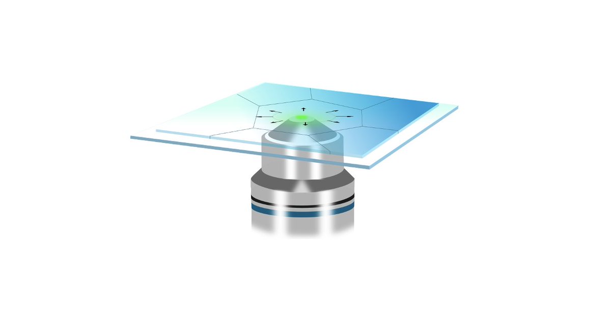 Ferry Prins (@ferryprins) on Twitter photo 📢We are looking for a PhD candidate to join our microscopy team <a href="/UAM_Madrid/">UAM Autónoma Madrid</a> starting this fall.
Interested in making ultrafast movies of energy carriers? MSc in Physics, PhysChem, or related Engineering field? Know someone?👇
ferryprinslab.com/join-us
RTs welcome! #PhDjobs 📢We are looking for a PhD candidate to join our microscopy team <a href="/UAM_Madrid/">UAM Autónoma Madrid</a> starting this fall.
Interested in making ultrafast movies of energy carriers? MSc in Physics, PhysChem, or related Engineering field? Know someone?👇
ferryprinslab.com/join-us
RTs welcome! #PhDjobs