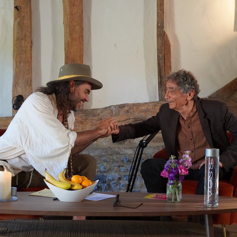 rustyrockets's tweet photo. I had the privilege of talking with the brilliant @DrGaborMate about the impact of trauma on our lives and the overlooked prevalence of addiction in society🎙️ Don't miss it, watch the interview airing TODAY from 12pm ET on Rumble⏰ https://t.co/CZWfTaGrcj