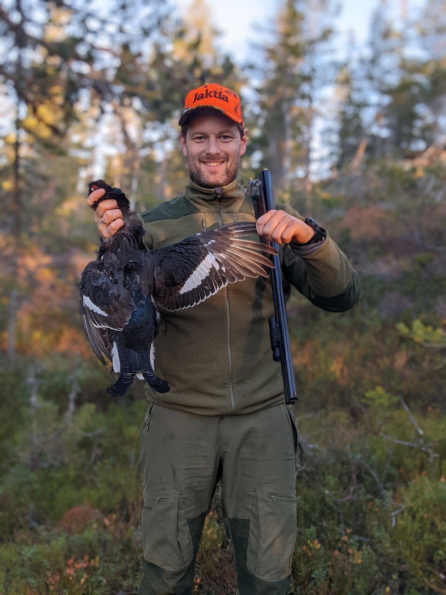 HuntersComp's tweet image. User: Andreas
Date: 2021-10-23
Country: Norway
Region: Innlandet
Species: Black grouse
Sex: Male
Weight: 1.03kg / 2.27lbs
HuntersCompanion.com
#hunting #jakt #jagd #Chasse
