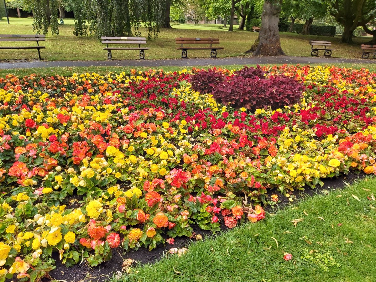 I have a visit to my friend in #Harrogate, a lovely Victorian spa town and #rural district in Yorkshire. 😍

Polls voted the town as "the #happiestplace to live" in Britain for three consecutive years (2013–2015).