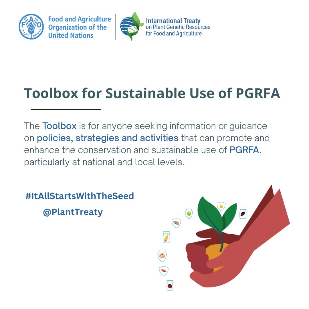 #TermOfTheWeek: Toolbox for Sustainable Use of PGRFA! 

@PlantTreaty's Toolbox🛠️ empowers us to make informed decisions for responsible plant use, fostering biodiversity & food security🌾

Access here👉bit.ly/3OkjIGg 

#ItAllStartsWithTheSeed🌱
#BenefitSharing