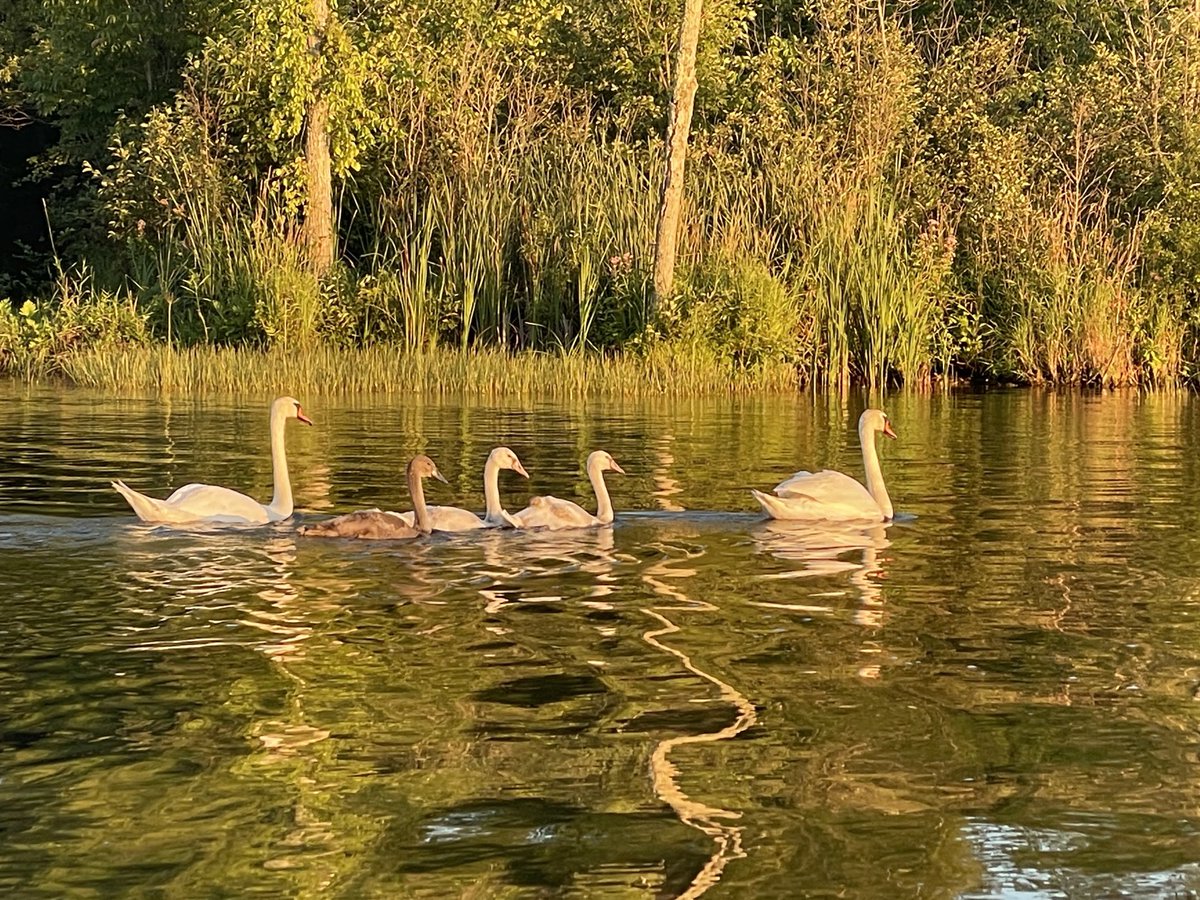 Chandy Davis tweet media