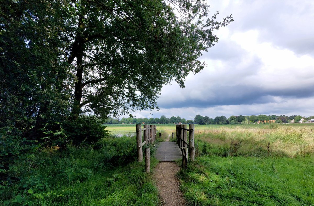 HeijdenJozef's tweet photo. Het bruggetje over de #Raamsloop in Lage Mierde
@BoswachterFrans @waarneming @Brab_Landschap @Sovon @vogelnieuws https://t.co/8BPxIYdSAW