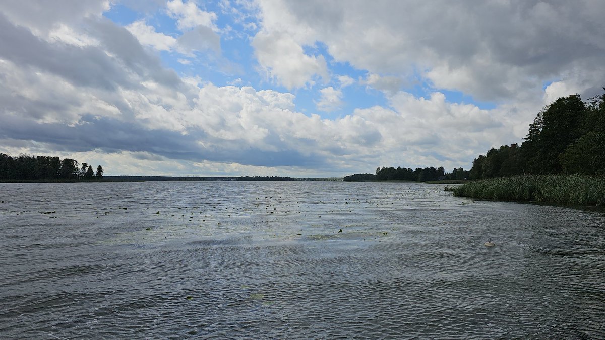 Normunds Bergs 🇱🇻🇪🇺🇺🇦 tweet media