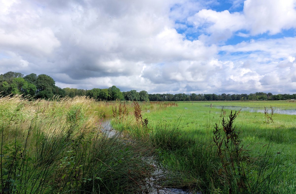 HeijdenJozef's tweet photo. Het bruggetje over de #Raamsloop in Lage Mierde
@BoswachterFrans @waarneming @Brab_Landschap @Sovon @vogelnieuws https://t.co/8BPxIYdSAW