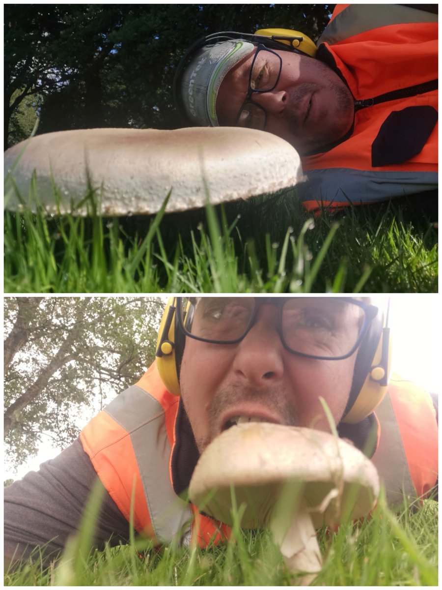 Mushroom anyone 😁