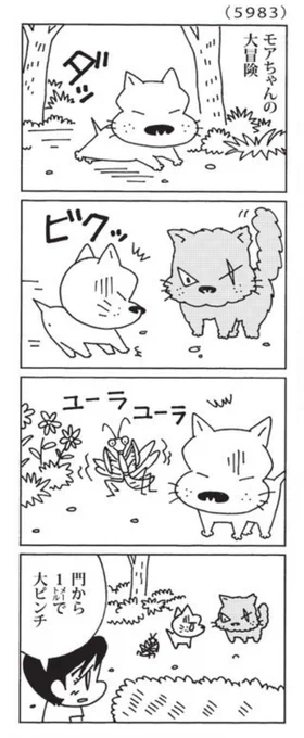 最近の「ウチの場合は」  モアちゃんの大冒険  @mainichi #毎日新聞夕刊