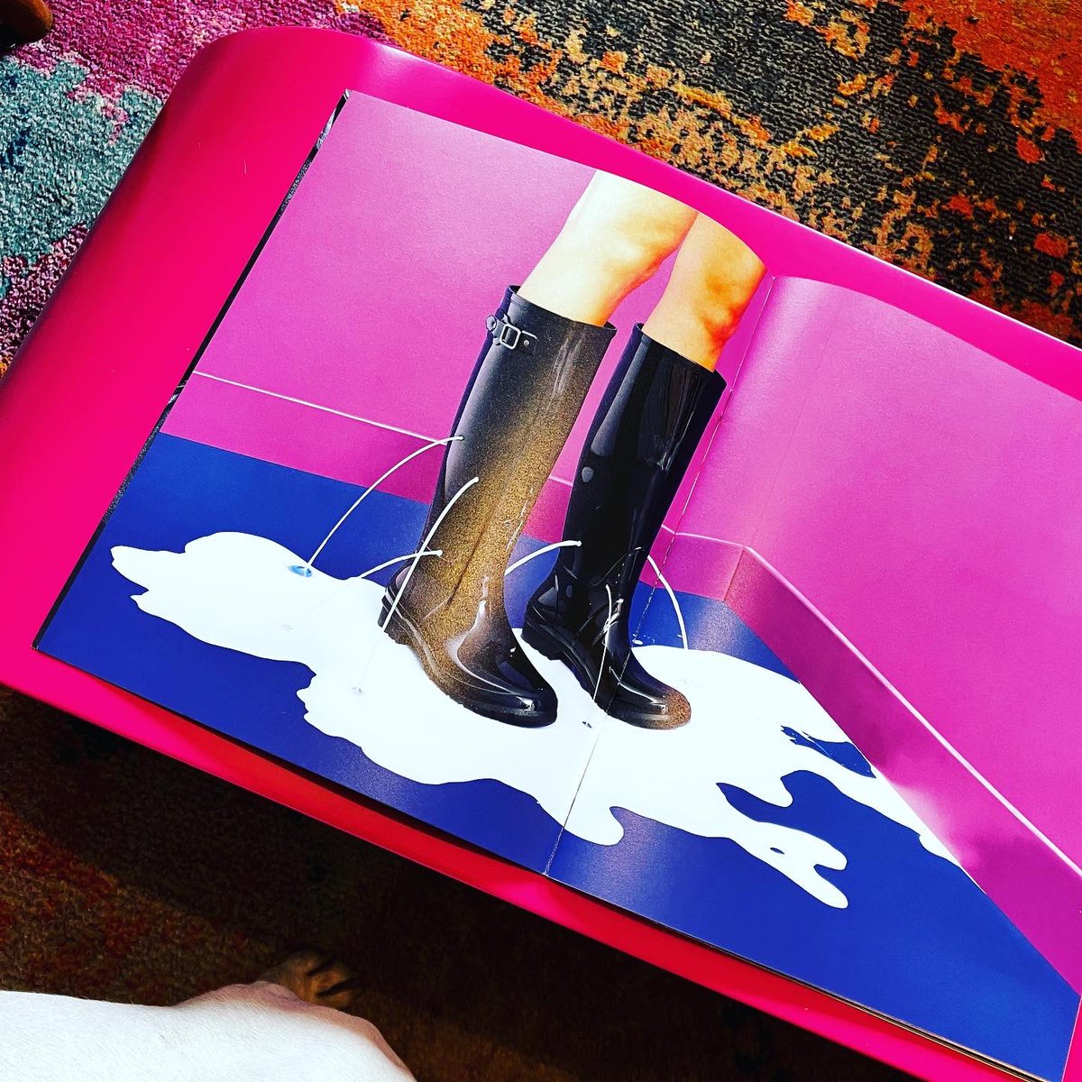 FriendsofWilson's tweet image. An apt rainy image and some colourful shots from last night at home-composition; Loopy table in pink, surrealist photography from Toiletpaper magazine, and the Beast. #designandart #creativeinspiration
