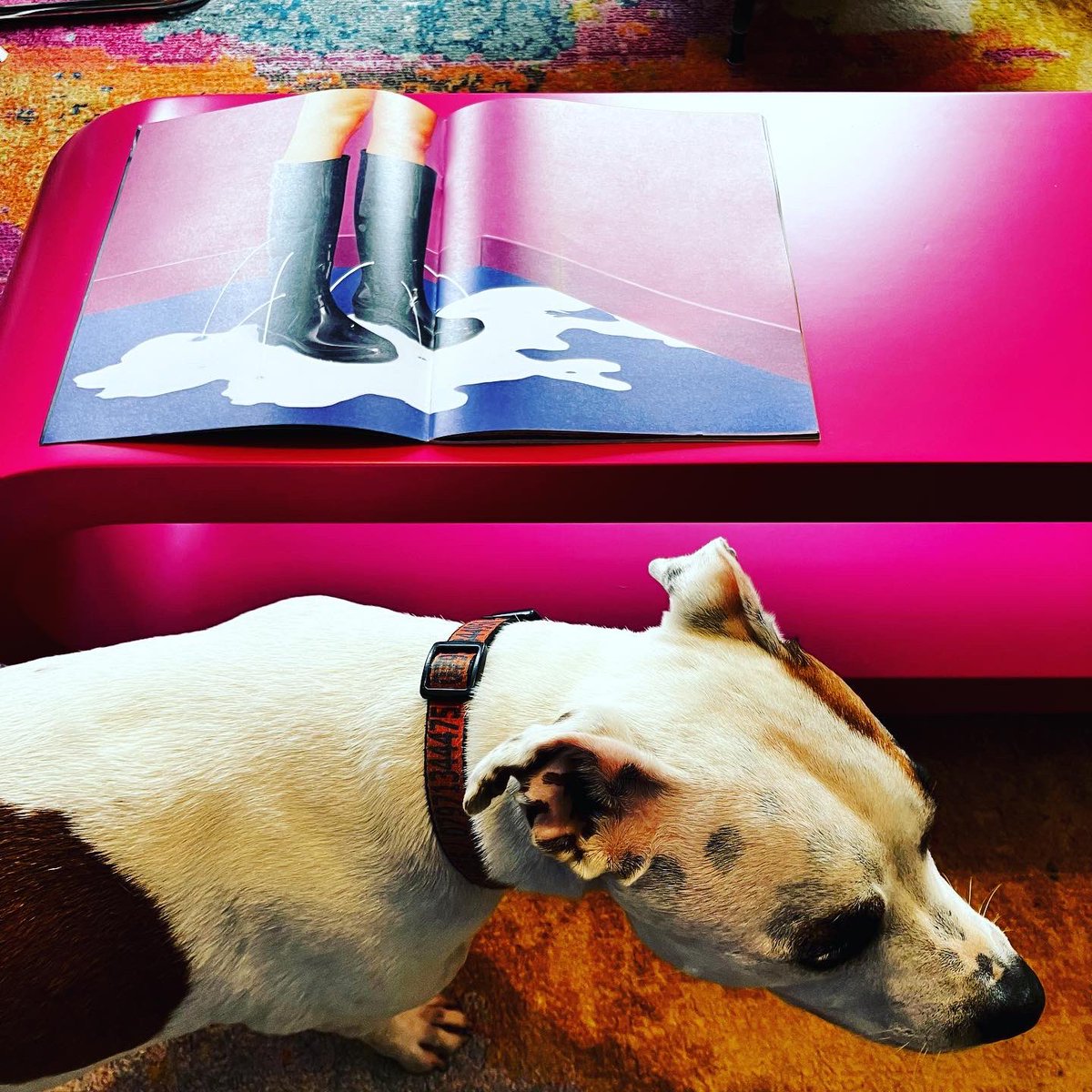 FriendsofWilson's tweet image. An apt rainy image and some colourful shots from last night at home-composition; Loopy table in pink, surrealist photography from Toiletpaper magazine, and the Beast. #designandart #creativeinspiration