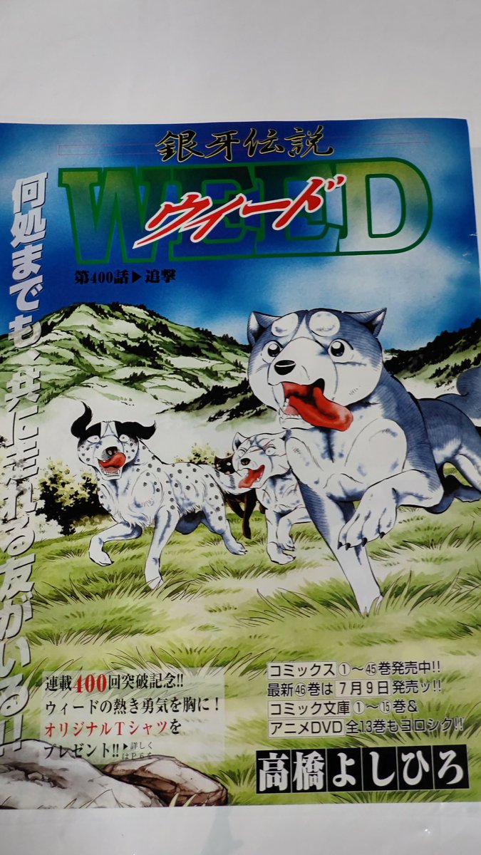 銀牙伝説WEEDの巻頭カラー😁 連載していて、雑誌での最後の銀牙 銀牙伝説WEEDの巻頭カラー😁 連載していて、雑誌での最後の銀牙
