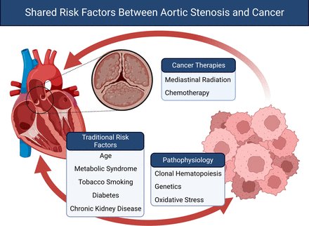 Transcatheter aortic valve intervention in patients with cancer heart.bmj.com/content/early/…