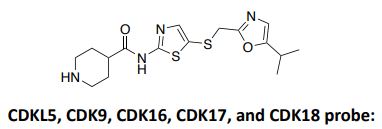 The Bullock lab @CMDOxford was delighted to collaborate on a new Elife paper reporting selective CDKL5 kinase inhibitors that reveal a role for CDKL5 in hippocampal CA1 physiology. DOI: doi.org/10.7554/elife.…