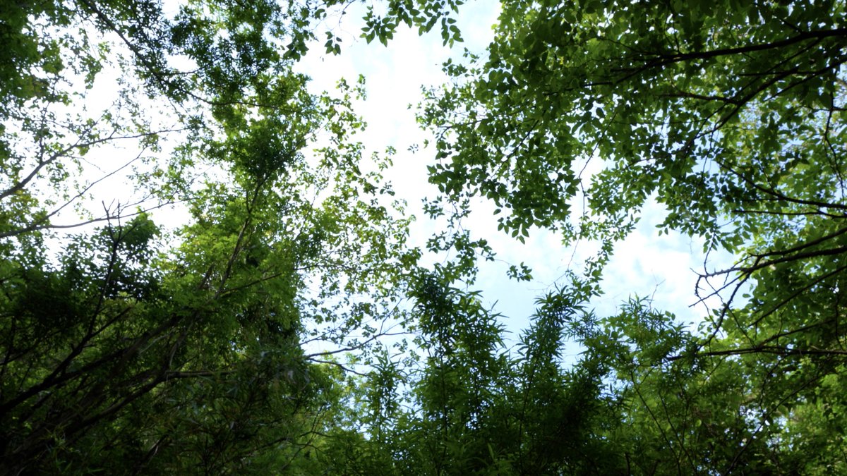 ご無沙汰してます。
気づいたら8月になってました。

明日、22時に新作動画を公開します。