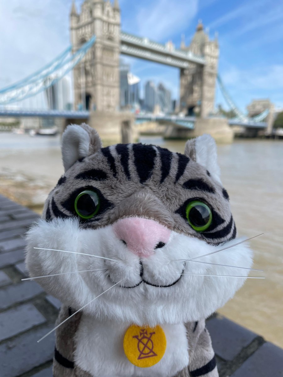 TowerBridge's tweet photo. πΊ Bella's getting very excited for #InternationalCatDay!
πΎ How will you be celebrating on Tuesday 8 August?
π Discover more about Bella, the @TowerBridgeCat: https://t.co/8DNvbU9ALq
#TowerBridgeCat https://t.co/br3L0mxGNt