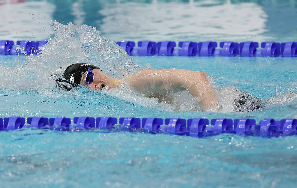 Scottish Swimming tweet media