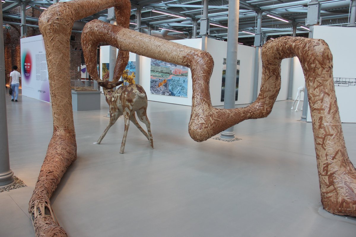 Argonotlar Güncel Sanat tweet media