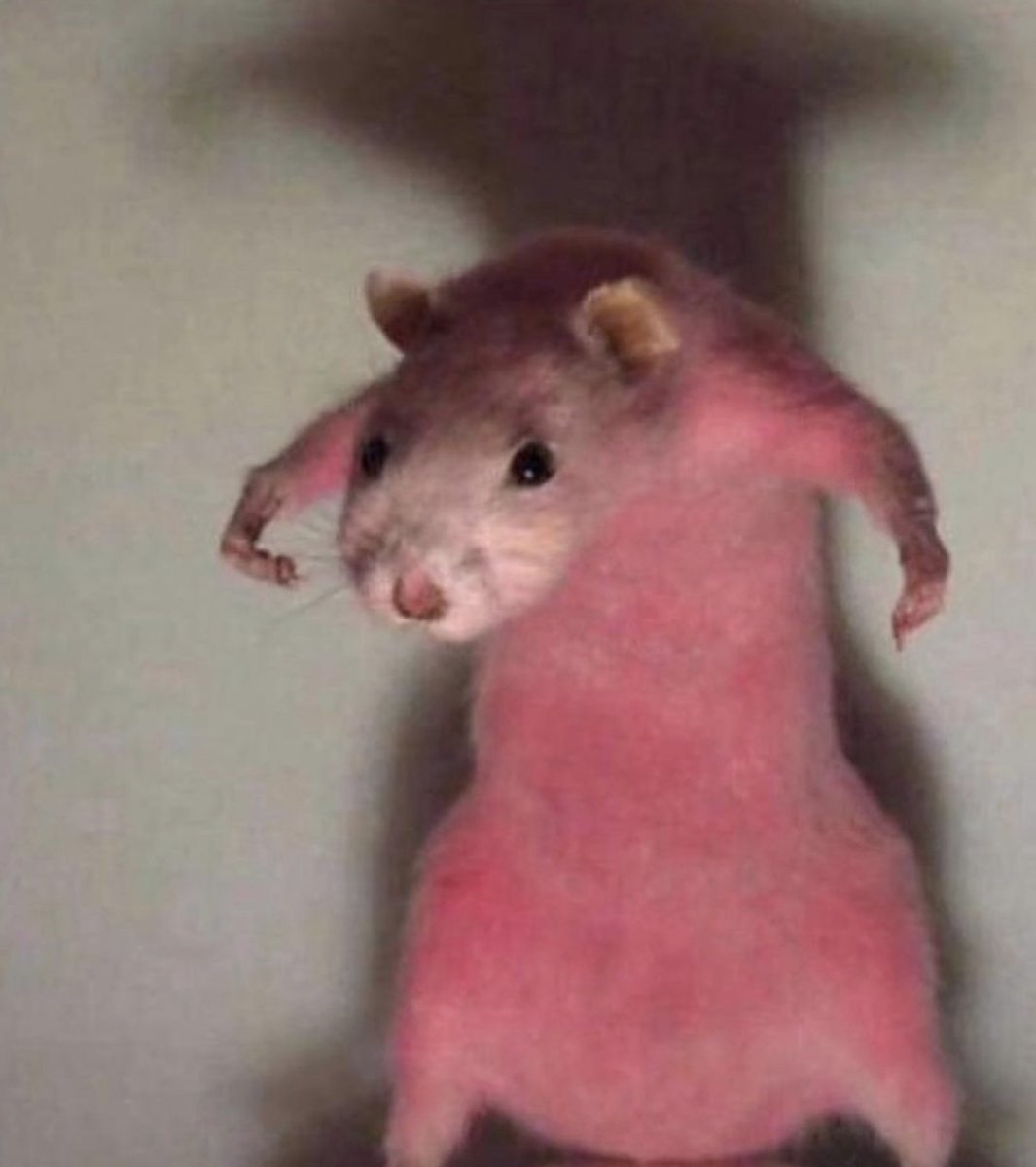 I don't need sunscreen fren