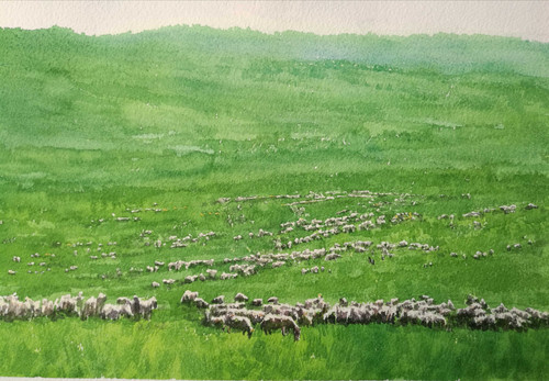 'Summer IV' 🌞 (buff.ly/3OHR4yP) 👈 Dong Shaoliang. 🌻 A simple and gorgeous landscape painting. What's not to like!?! 🐑

#summeriv #dongshaoliang #artonline #landscapepainting #landscapeartwork #landscapeart #contemporaryart #art #artontwitter #buyart