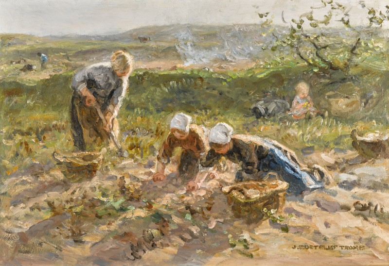 HrothN's tweet photo. De aardappeloogst is gelukt. Einde bericht.
#moestuin #roseval
🎨 Jan Zoetelief Tromp https://t.co/AsHehdKf54