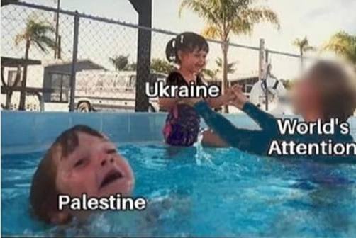 Aya Isleem 🇵🇸 #Gaza tweet media