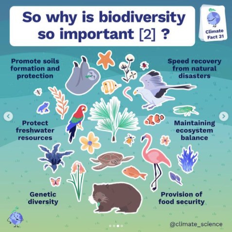 Sadly, biodiversity loss has become an increasingly bigger problem as roughly 27,000 species go extinct every year. This can be attributed to both land use and climate change. Via @climatescience