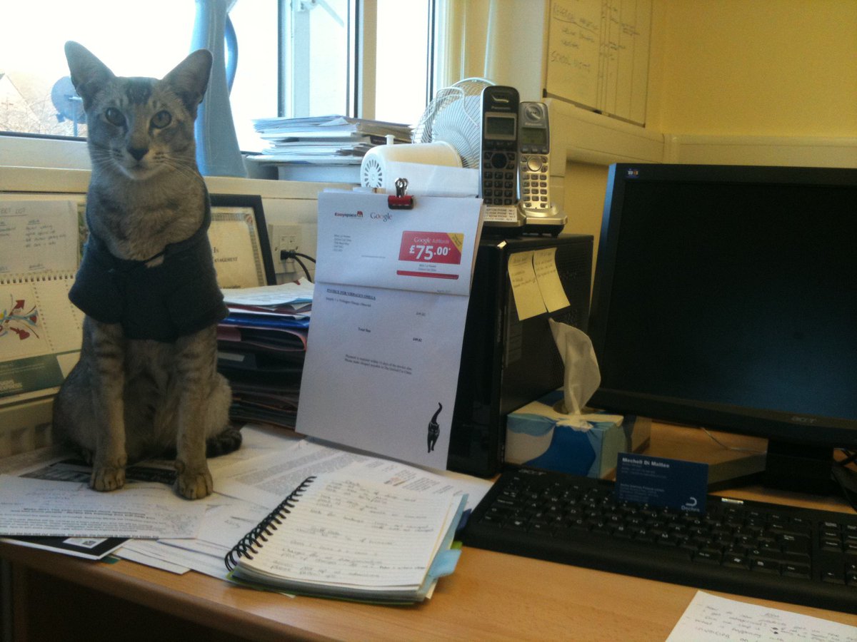 mrmokeycat's tweet photo. @cppurleyshop @Catmum13 Just helping mum at work #takeyourcattowork https://t.co/NzO7pJBCpF