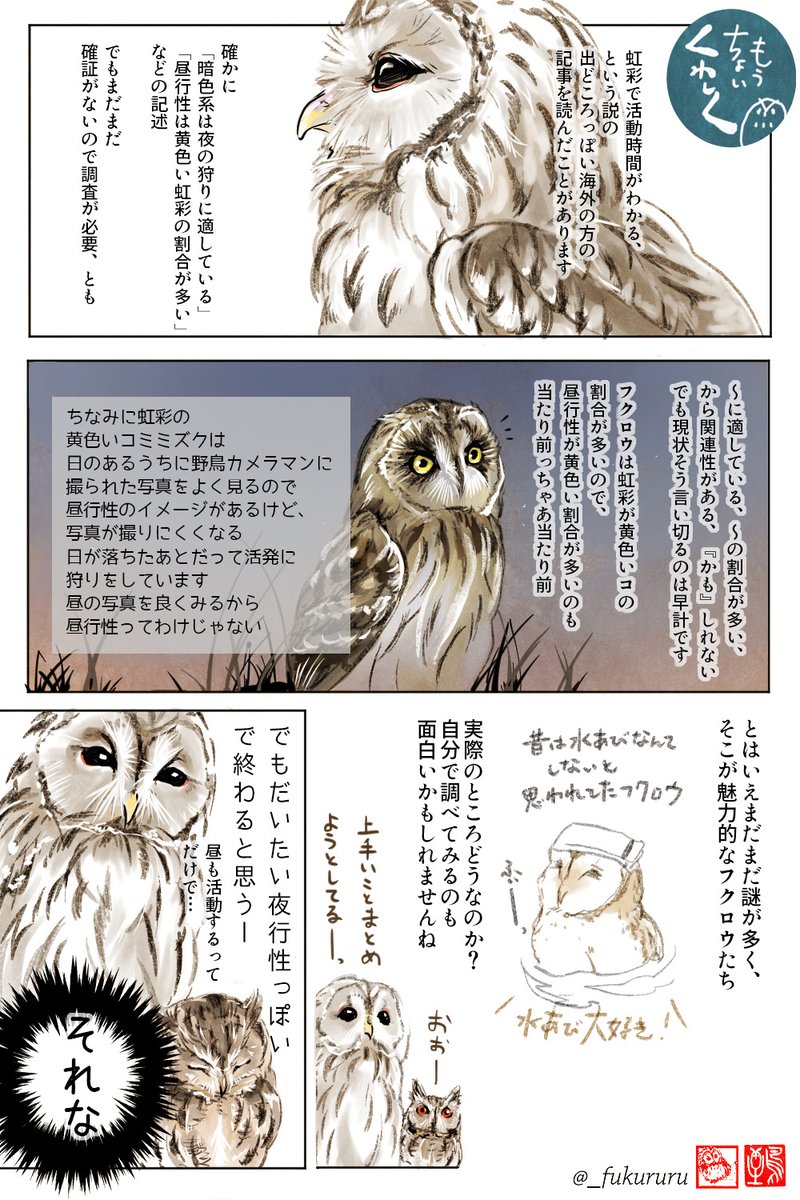 #OwlAwarenessDay #国際フクロウの日   フクロウ啓発の日だ〜! 知ってる人は知っているフクロウマニアック豆知識漫画をここぞとばかりに再掲再掲〜🦉