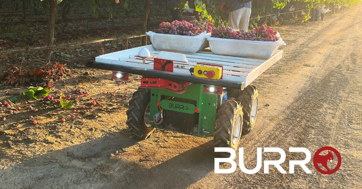 burro_ai's tweet photo. #Tablegrape season is well underway. As we wish producers well this year, we have to ask ... What varieties will you be enjoying soon?  https://t.co/VkCcKrLxPn 

#agtech #agriculture #farming #innovation #agritech #robotics #computervision #AI #autonomy #smartfarming #vineyard https://t.co/7q47XtmnFH