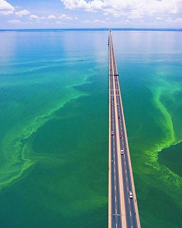 CIVoficial's tweet photo. Puente General Rafael Urdaneta sobre el Lago de Maracaibo, 8.678 m longitud. Construcción se inició a fines de los 50'e inaugurado en 1962 por presidente Betancourt. Durante varios años fue puente más largo del mundo en su tipo y una de las mayores estructuras de hormigón armado. https://t.co/SogfCG6yWj