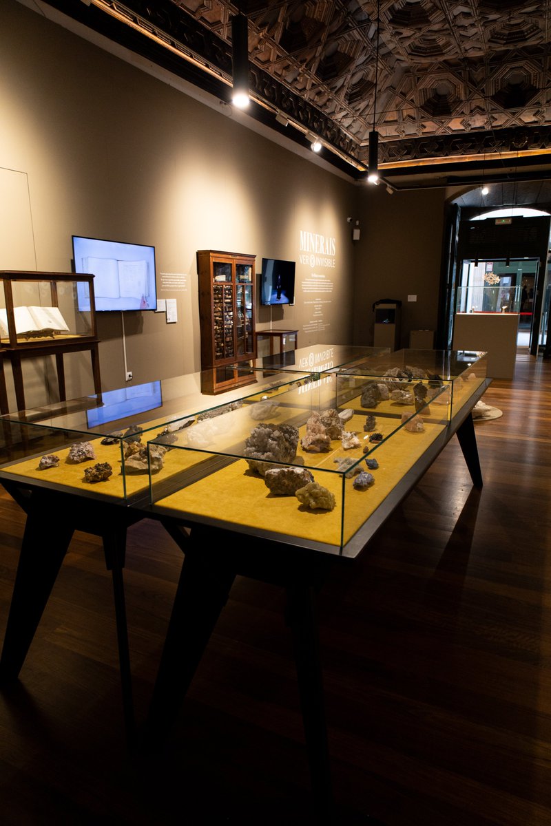 mhnUSC's tweet photo. A exposición 𝗠𝗜𝗡𝗘𝗥𝗔𝗜𝗦 𝗩𝗘𝗥 𝗢 𝗜𝗡𝗩𝗜𝗦𝗜𝗕𝗟𝗘. De Haüy á ermeloíta pode visitarse ata 02/09 de luns a sábado de 11-14 e 17-20.30
📍Salón Artesoado do Colexio de Fonseca.
+ info https://t.co/v2MbTDU9ZB
@UniversidadeUSC 
@Depucoruna 
@CulturaUSC
@monicamura https://t.co/hZEWiUJS5D